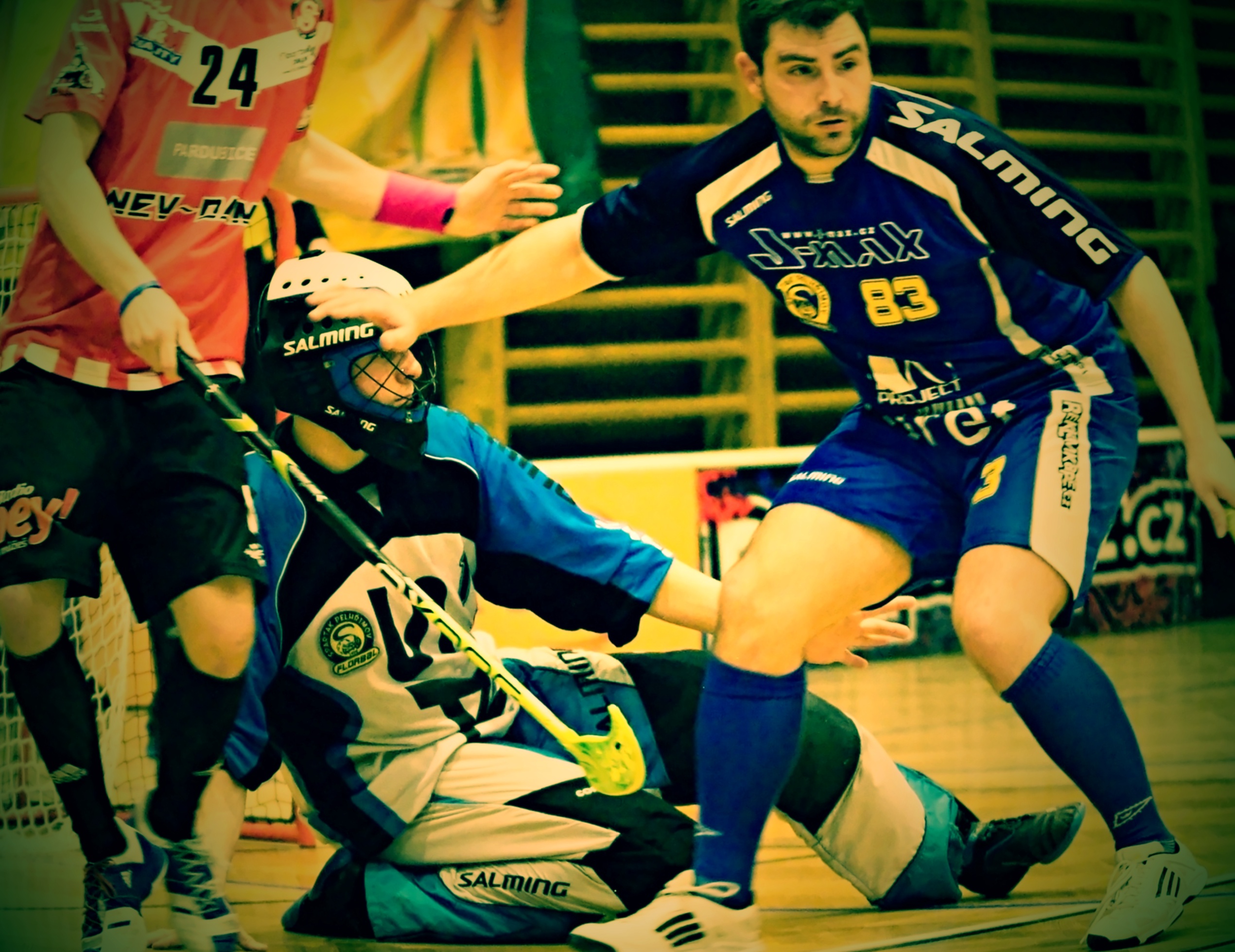 Pe.A   PArdubice 16.2.2013 (78)